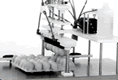 Egg Innoculator